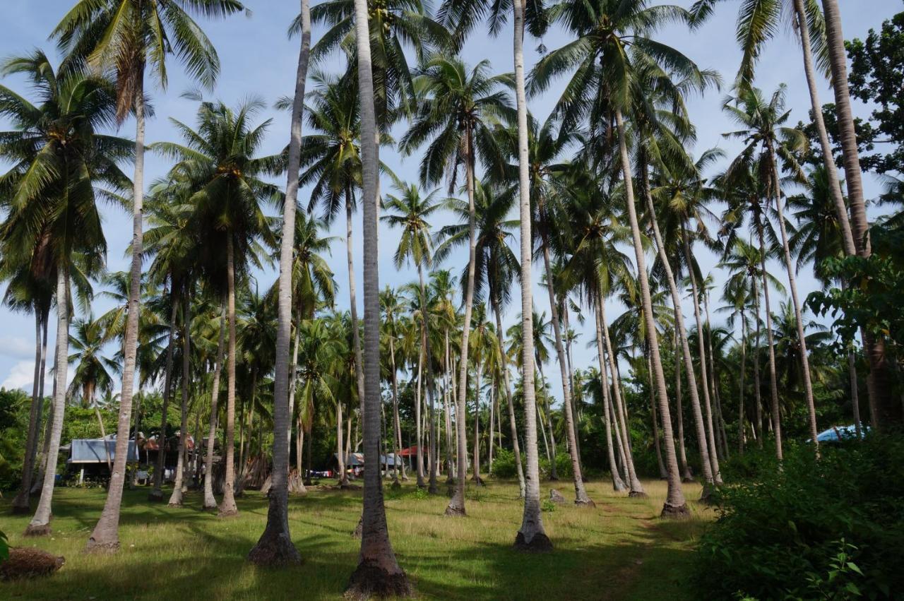 Peaceland Hostel Panglao Kültér fotó